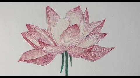 Draw a REALISTIC lotus flower! | Step by step drawing lesson for beginners