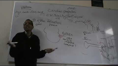 CVS Cardiac properties part 2 Dr Mohamed Fayez