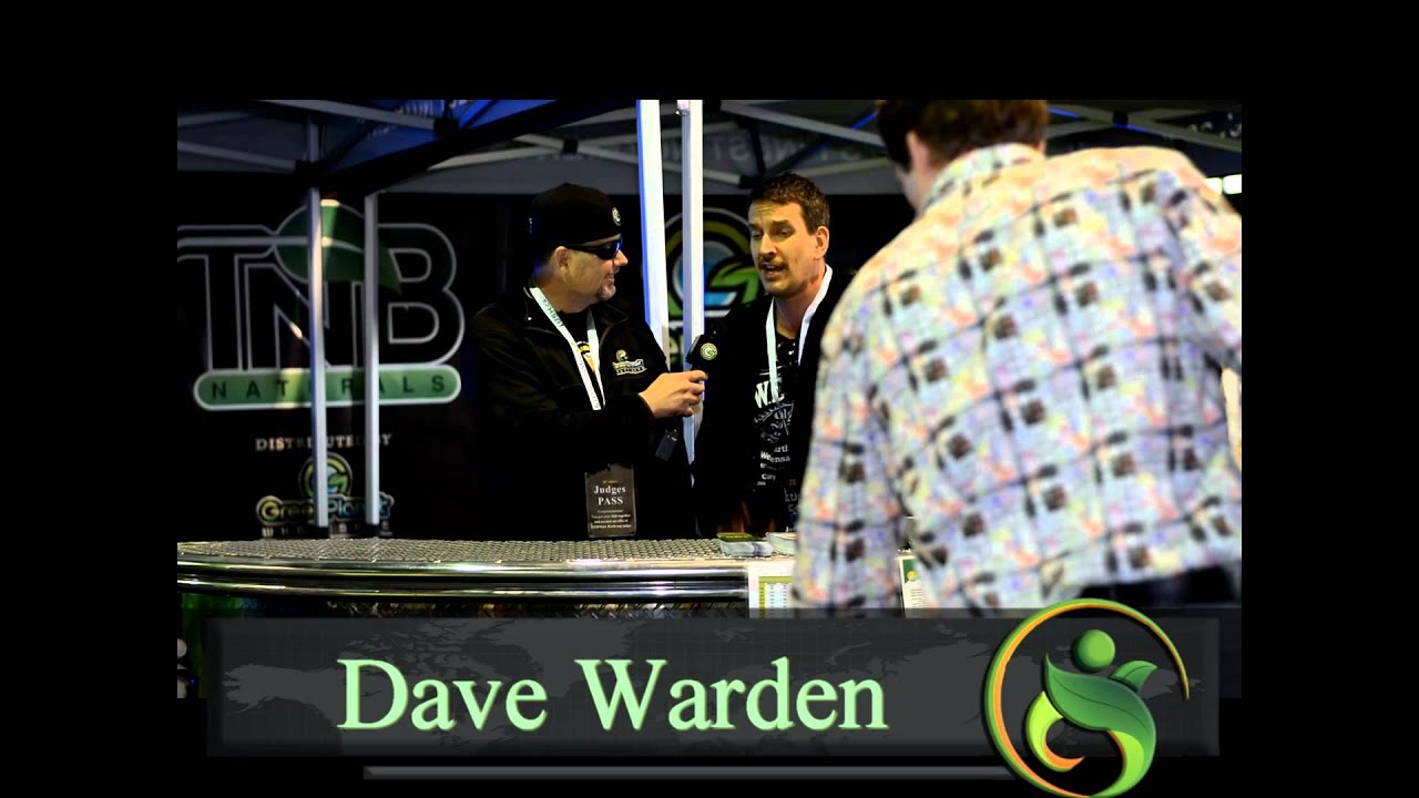 Dave Warden (The Weed Report) Visits Vansterdam