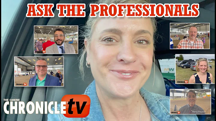 Ask The Professionals: What Do You Do To Prepare F...