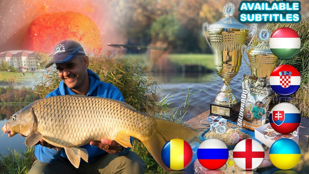 Чемпионские насадки и прикормки Фильм Шипош Габора