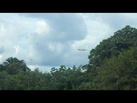 Landing of a Cessna 303 - Crusader in the eastern colombian planes.