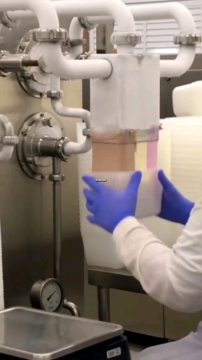 Beginilah cara pabrik es krim bekerja #shortvideo #faktaunik