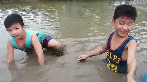 Mò Vọp bắt Sò.