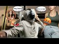 GAMING WITH GIRLS ONLINE TO SEE HOW MY GIRLFRIEND REACTS! **WILD**