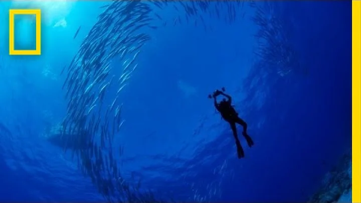 Enric Sala: Journey to the Pitcairn Islands | Nat ...