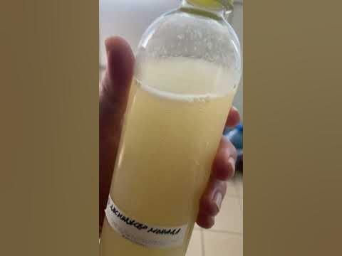 Джинджър лимонада, дива ферментация - YouTube