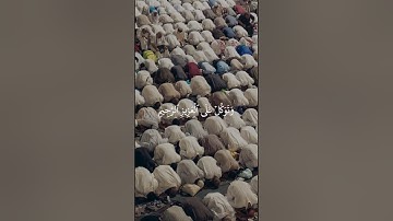 [ سورة الشعراء من 217 إلى 220 | القارئ : عبدالرحمن مسعد ]