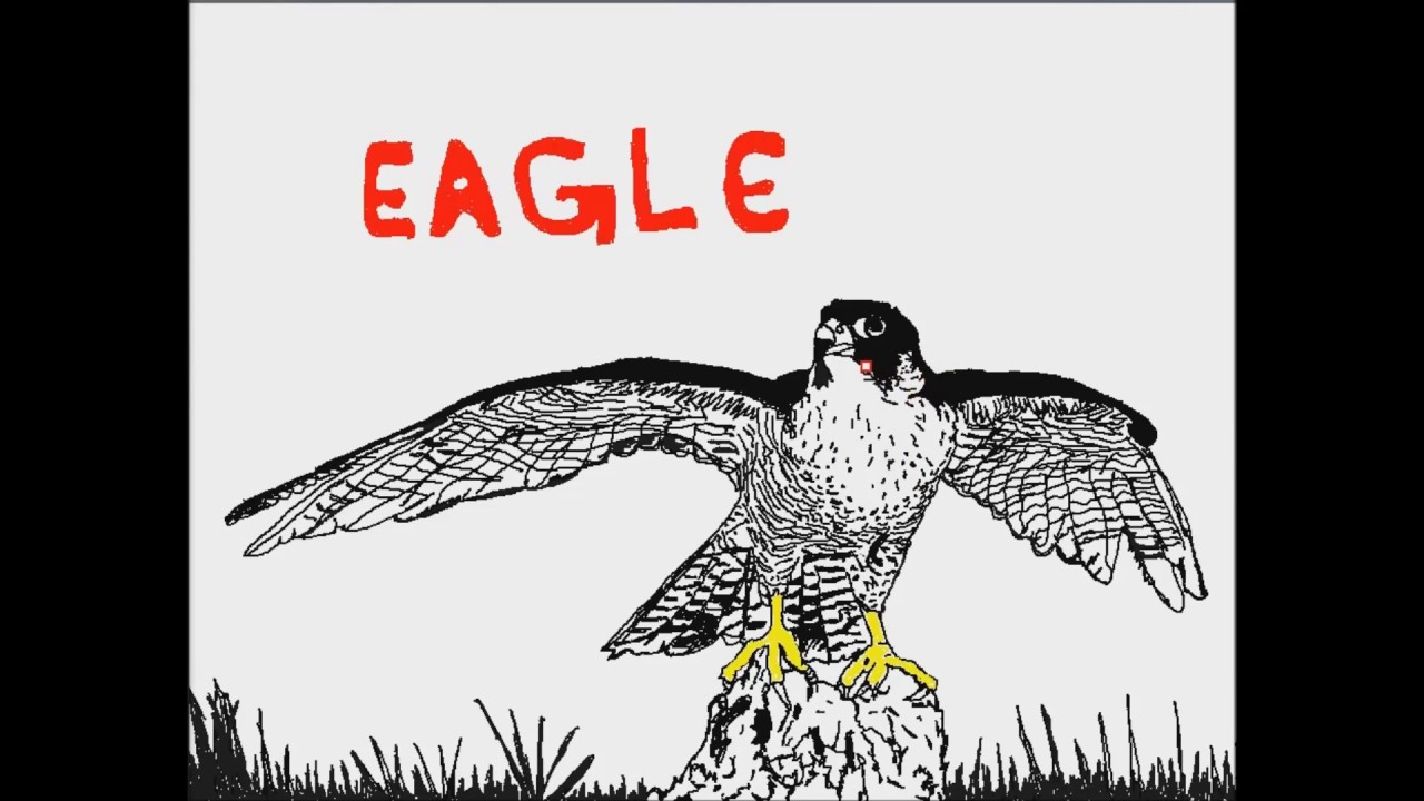 วาดรูป การ์ตูน เหยี่ยว (Eagle) - How To Draw An Eagle Cartoon