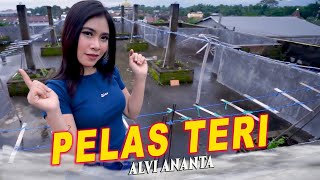 Alvi Ananta - Pelas Teri (Dj angklung)  