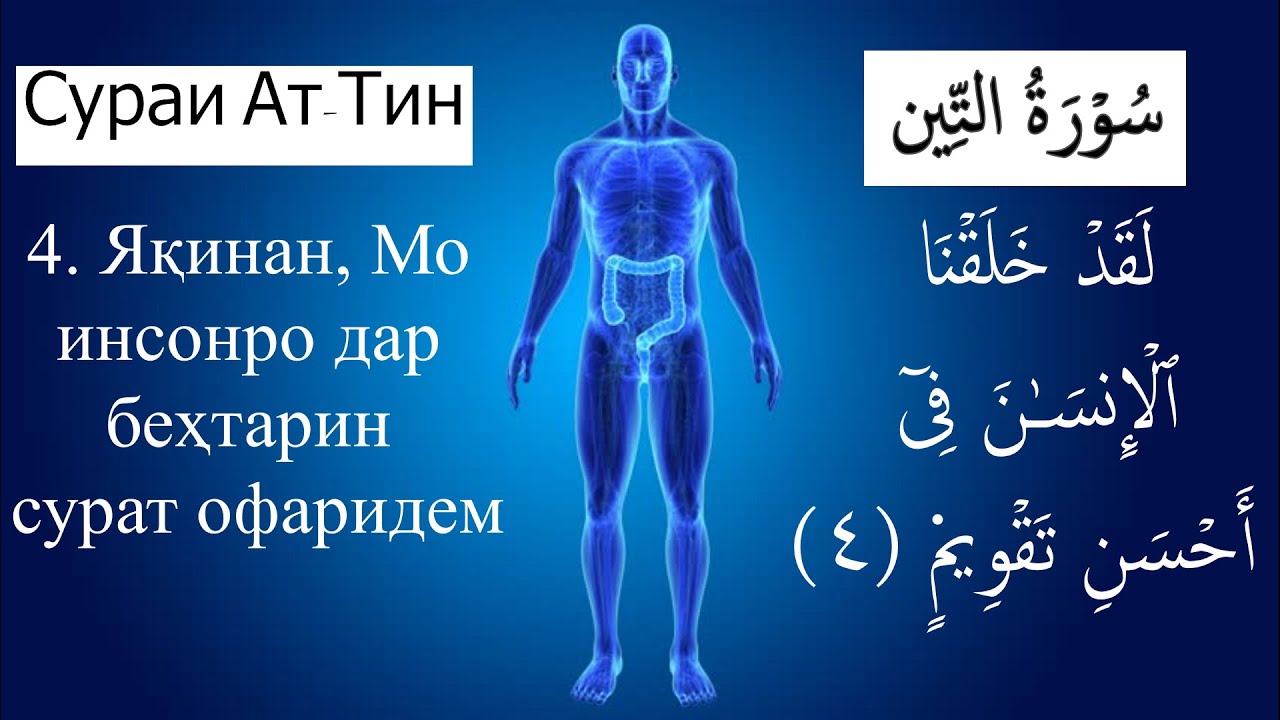 Тарчумаи сураи. Сураи Тин. Сураи Моъун. Сураи Тин бо забони. Сураи Тин бо забони точики.