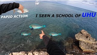 FISHING FOR AN ADVENTURE IN HAWAII | I SEEN THE BIGGEST SCHOOL OF UHU EVER !!