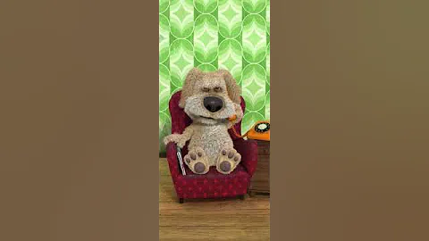 My dog my dog