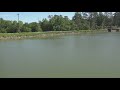 Alligator sightings in Calhoun County close splash pad