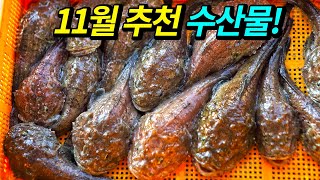 We recommend seafood that you must try in November in Korea!