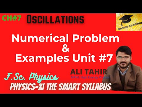 Numericals Chapter 7