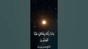 وقل الحمد لله سيريكم آياته فتعرفونها || بصوت الشيخ محمود عبدربه ||