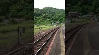 【二木島駅】〜JR東海紀勢本線〜チラ見するだけ〜セミの大合唱を添えて〜