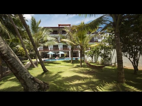 Video: Najboljši Butični Hoteli V St. John (Ameriški Deviški Otoki)