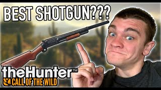 BEST SHOTGUN IN THE GAME??? Hunter Call of the Wild Ep.35 - Kendall Gray screenshot 3