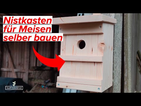 Video: Werden Kleiber ein Vogelhaus benutzen?