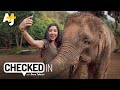 Why There Are No Elephant Sanctuaries in Thailand