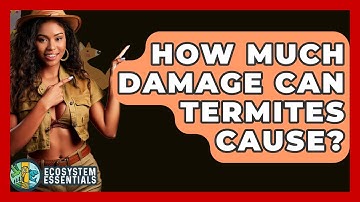 How Much Damage Can Termites Cause? - Ecosystem Essentials