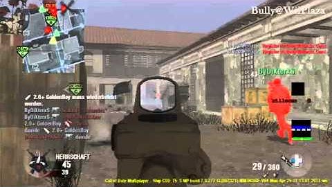 ~CoD 7 Wii~ Chat & Grenade Indicator Codes *NON-HOST*