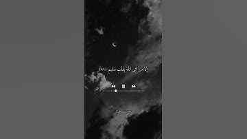 إِلَّا مَنْ أَتَى اللَّهَ بِقَلْبٍ سَلِيمٍ   سورة الشعراء   علي جابر