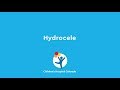What is hydrocele surgery