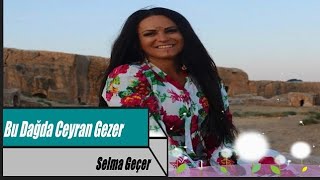 Selma Geçer || Bu Dağda Ceyran Gezer || Resimi