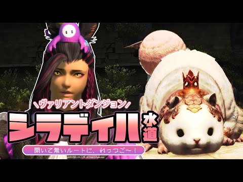 🔴𝔽𝔽𝟙𝟜 | シラディハ水道完結させるよ～～！【FF14 静凛/にじさんじ】