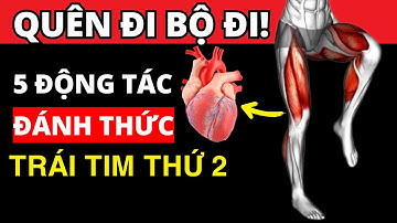 Đánh thức Trái tim thứ 2 ! Chỉ 5 động tác Đơn Giản (Tại Nhà) Này và bạn Không Cần Đi Bộ nữa!