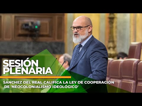 Sánchez del Real califica la Ley de Cooperación de 'neocolonialismo ideológico'