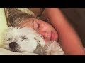 Dogs Want to Sleep With Owner Compilation NEW