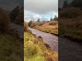 🌊 Discovering the Tranquil River of Tawnawully Mountains, Ireland 🏞️#pickinntripin