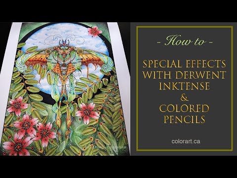 Using Derwent Inktense Pencils for Adult Coloring Pages 