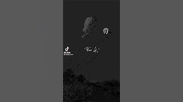 قَالَ لَا تَخَافَا ۖ إِنَّنِي مَعَكُمَا أَسْمَعُ وَأَرَىٰ ﴿46﴾| سورة طـه ،