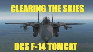 Ralfi's Alley - Clearing the skies with the DCS F-14 TOMCAT (Ft. Arlios)