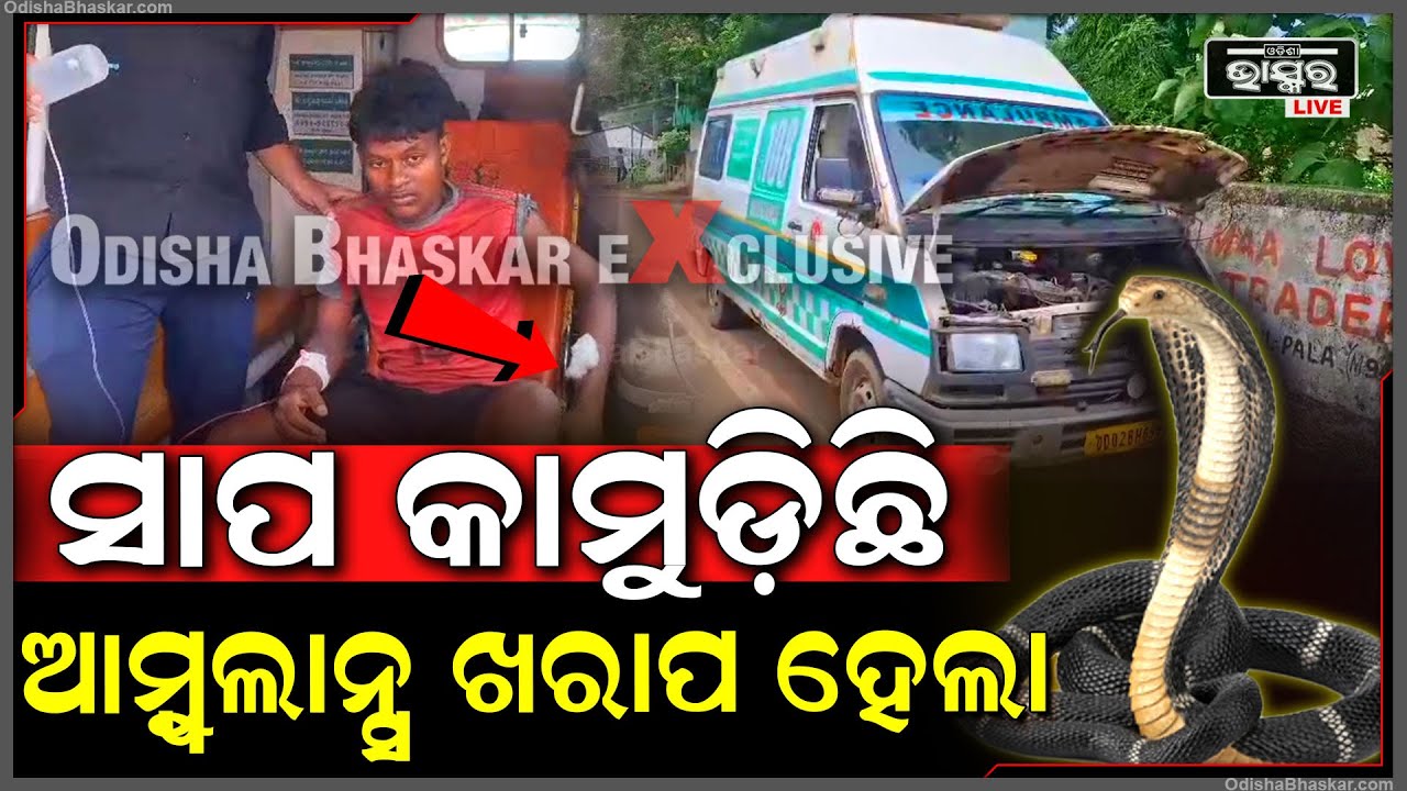 ସାପ କାମୁଡ଼ିଛି,ଜୀବନ ମରଣ ସହ ସଂଗ୍ରାମ କରୁଛନ୍ତି ରୋଗୀ... ଅଧ ରାସ୍ତାରେ ଖରାପ ଆମ୍ବୁଲାନ୍ସ ହେଲା ....