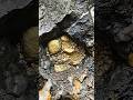 Can You Guess The Weight of This Gold Bar? ⛏️✨#shorts #gold #mining #asmr