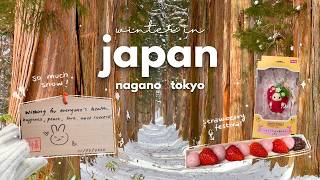 a winter trip to japan | snowy nagano, tokyo, cute cafes and shopping | travel vlog 🇯🇵
