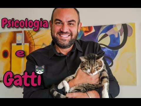 Video: Un Gatto In Casa è Buono O Cattivo?