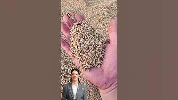 #fcnfm Transforming Harvest into Success: How Our Innovative Dryer Elevates Farming Practices