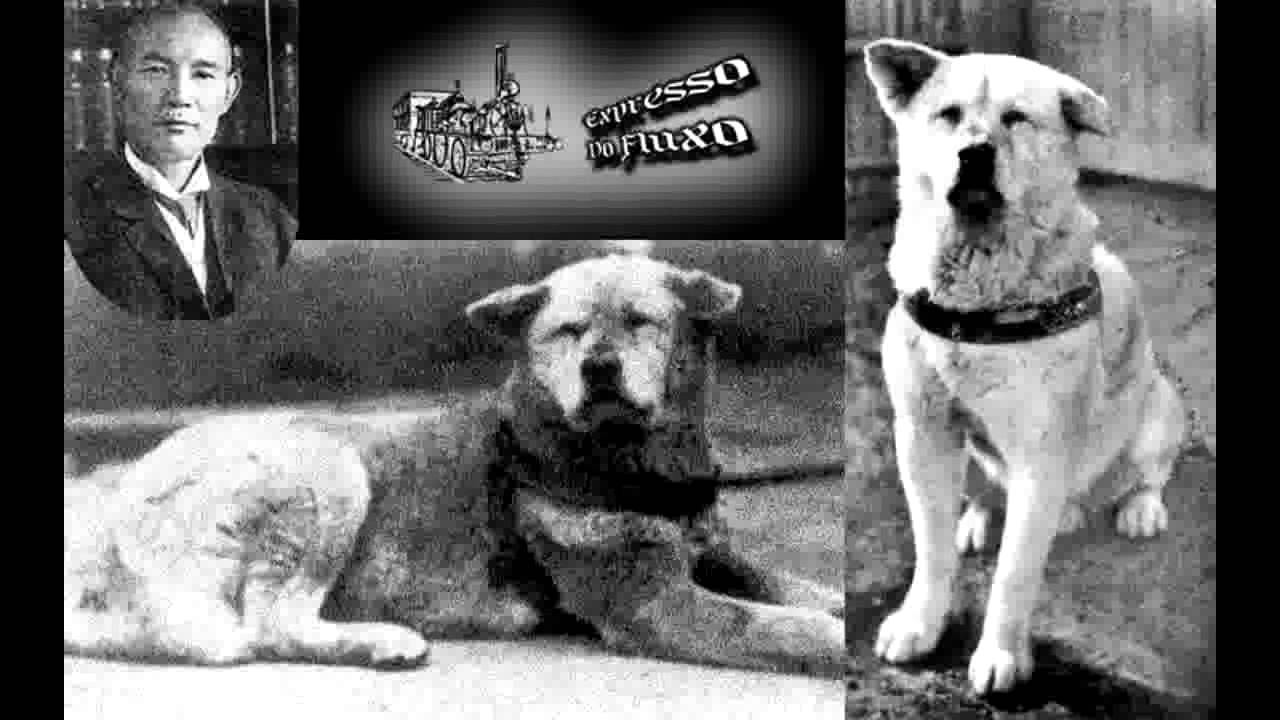 Настоящий хатико. Хатико 1934. Хатико реальная история собаки. Хатико 1925. Хатико в реальной жизни.