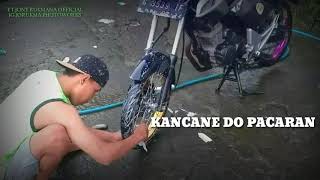 DINO KAMIS WAYAHE PINGIN NANGIS KANCANE DO PACARAN KOE NYEKELI WAJAN || STORY WA || TIGER HEREX