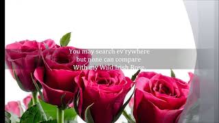 MY WILD IRISH ROSE St. Patrick Day Lyrics Words text trending sing along song music