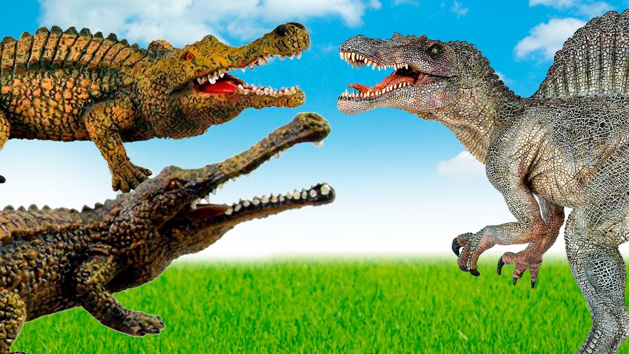 Dinosaurs Spinosaurus VS Sarcosuchus Triceratops Asks.