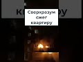 😱  Cжег квaртиру, игрaясь с фейерверкaми в новогоднюю ночь #shorts