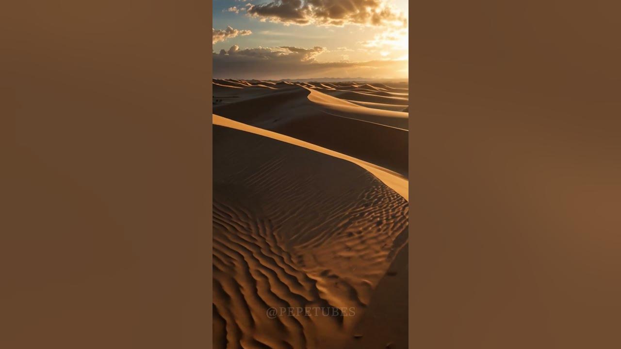 Lost in the Dunes #cat #cute #dunes #ai #shorts #catvideos #aicat